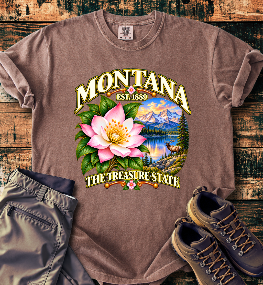 Montana - The Treasure State T-Shirt
