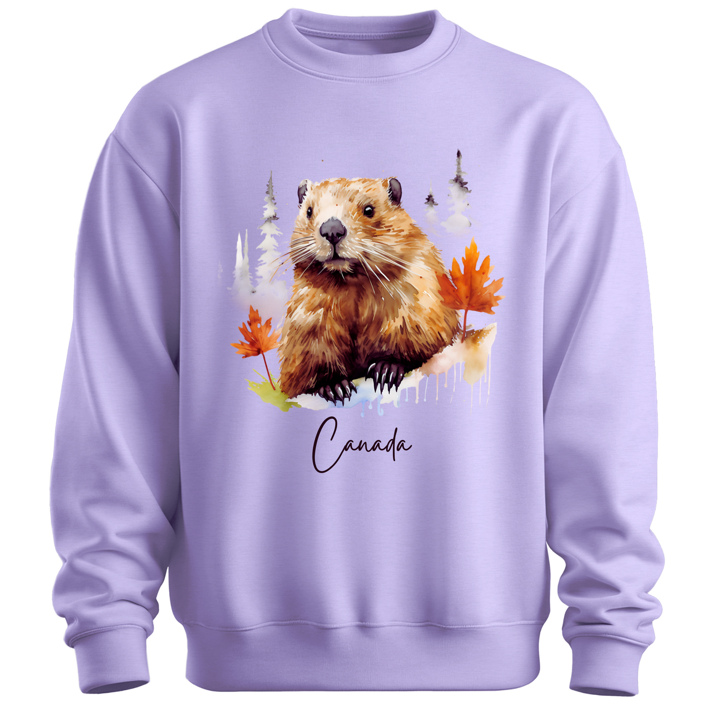 Hamster Explorer: Canada Adventure Unisex Sweatshirt