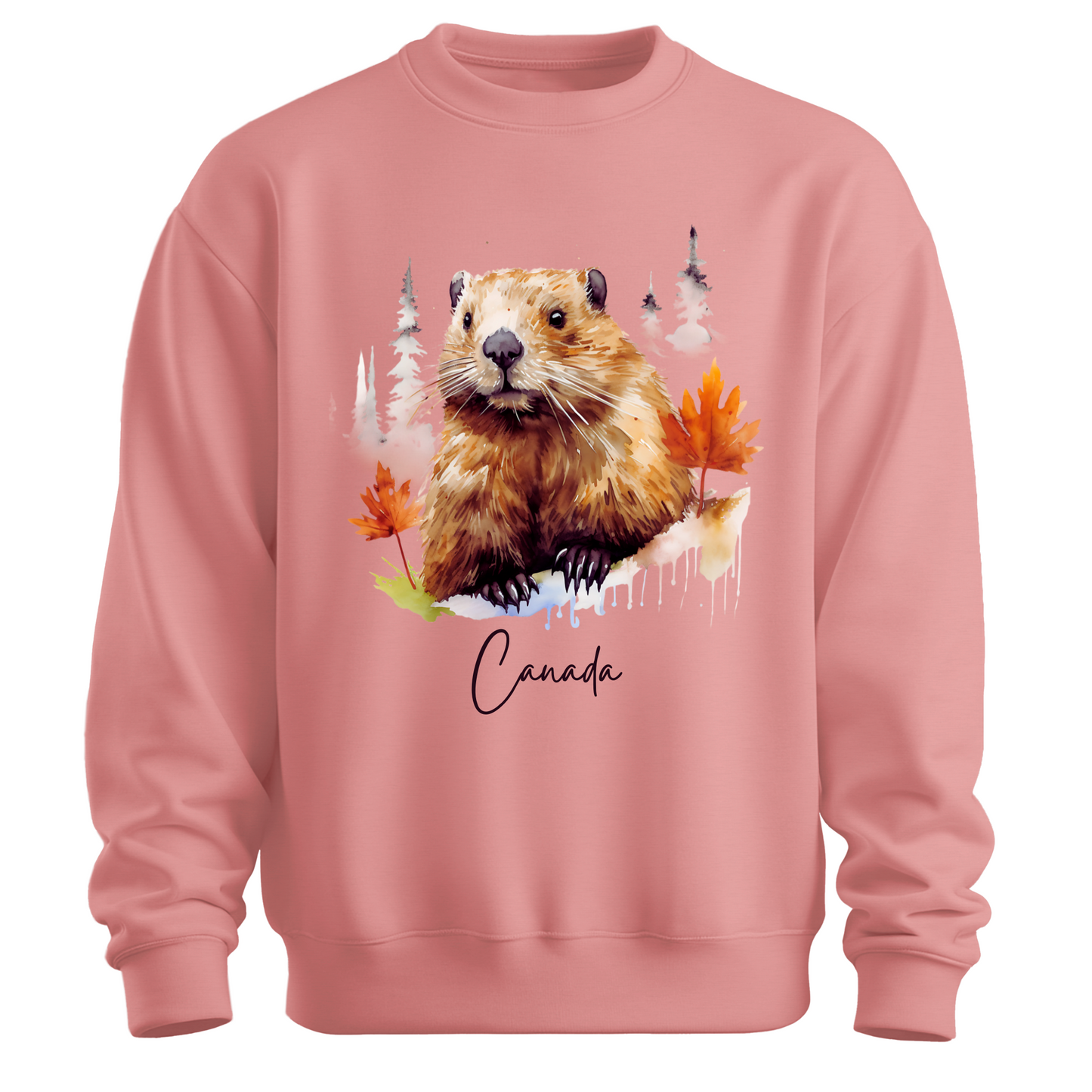 Hamster Explorer: Canada Adventure Unisex Sweatshirt