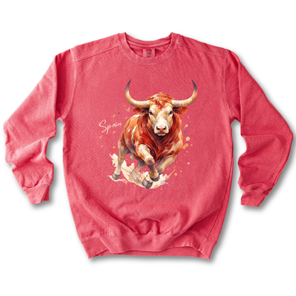 Spain Bullfight Spirit Sweatshirt