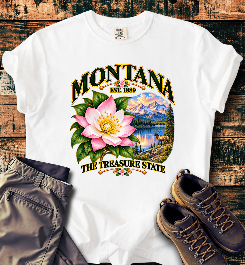 Montana - The Treasure State T-Shirt