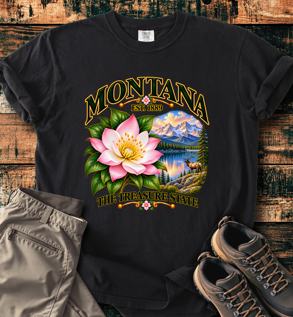 Montana - The Treasure State T-Shirt