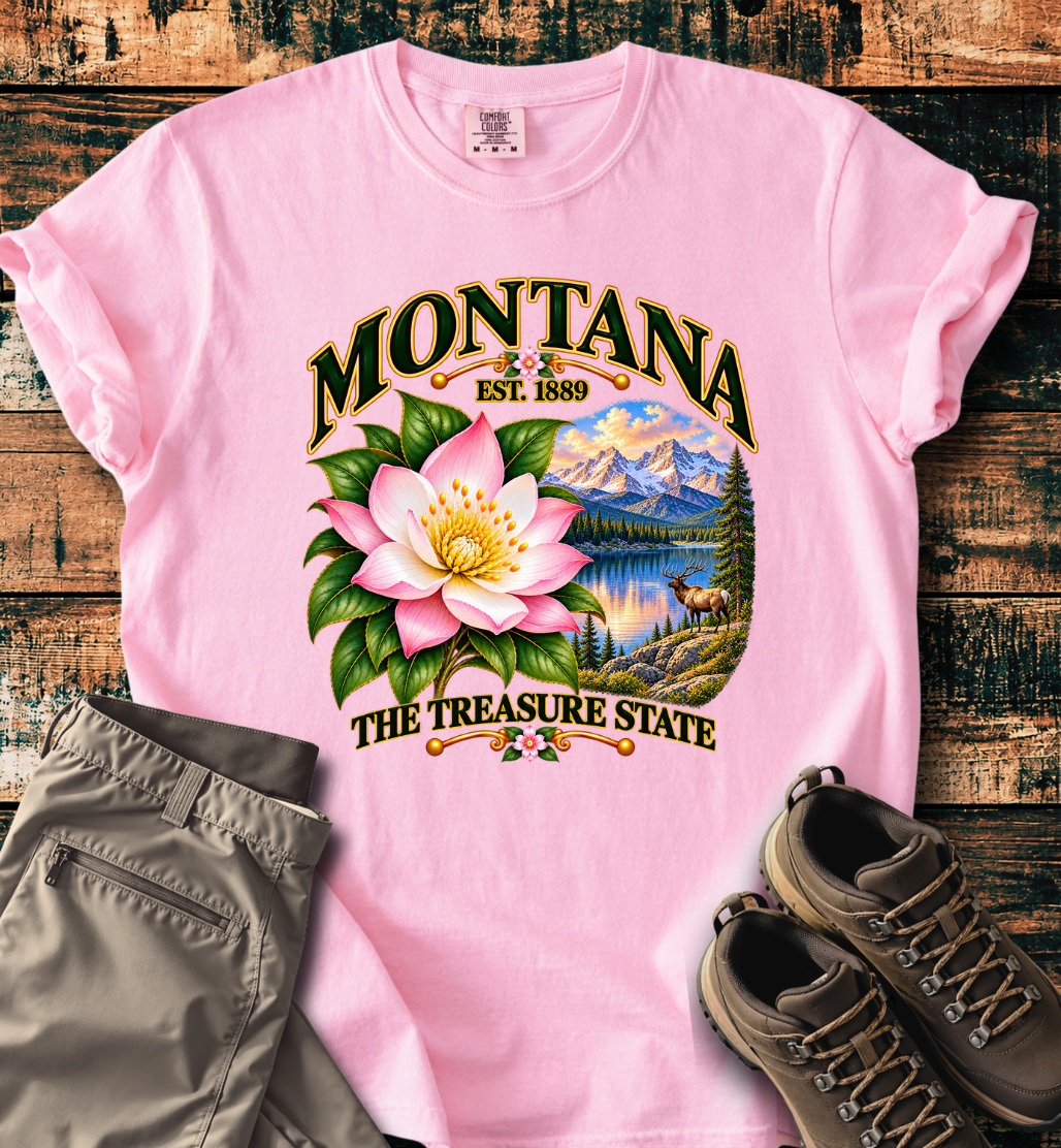 Montana - The Treasure State T-Shirt