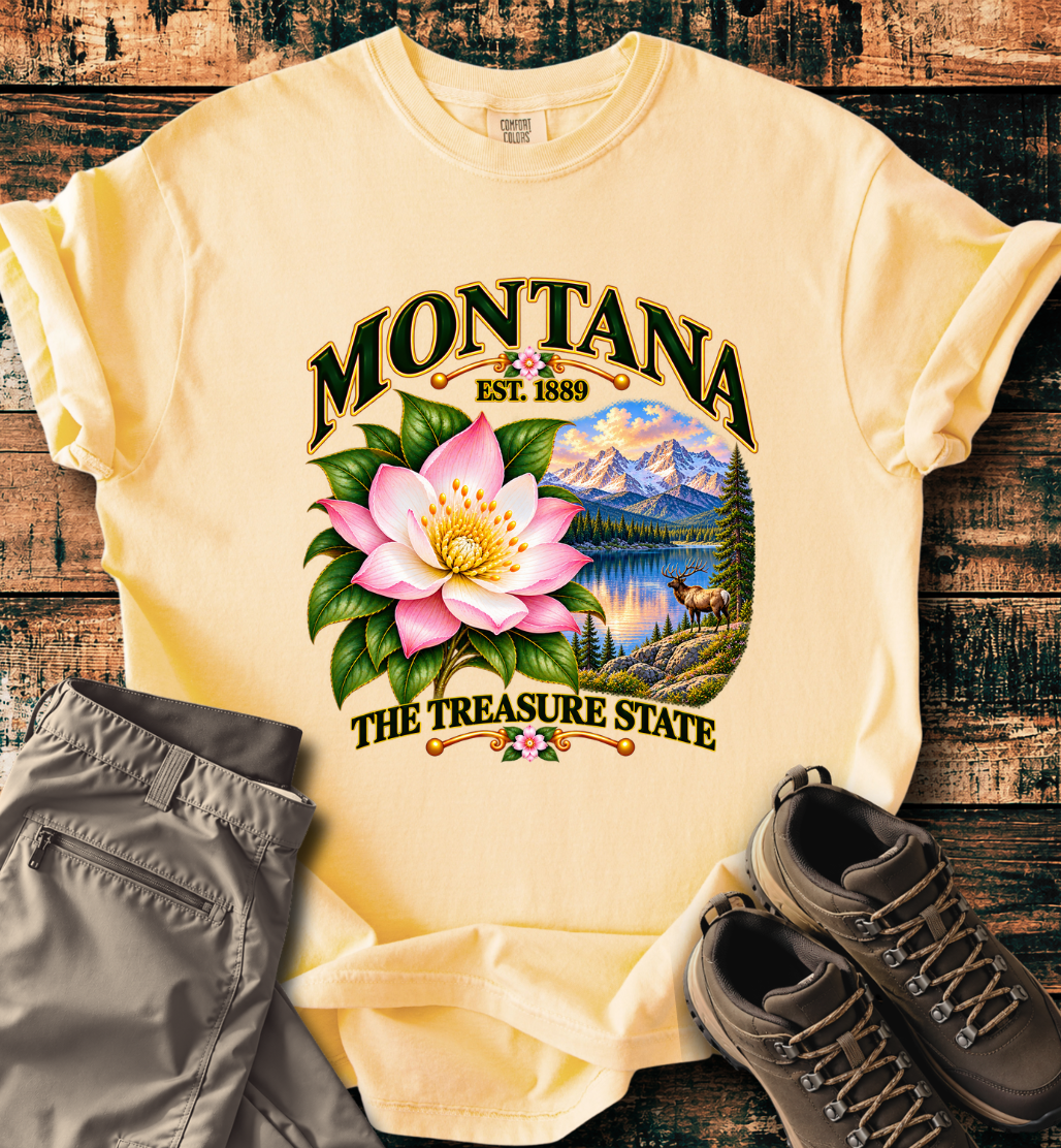Montana - The Treasure State T-Shirt