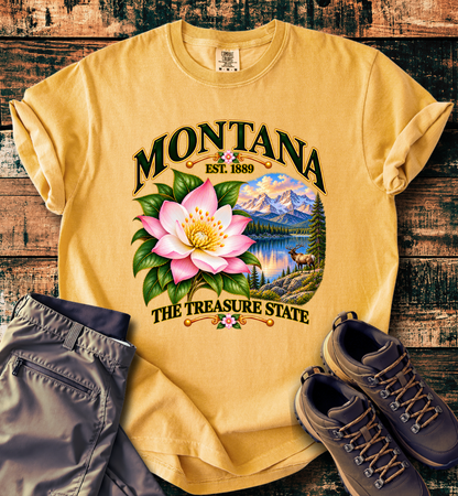 Montana - The Treasure State T-Shirt