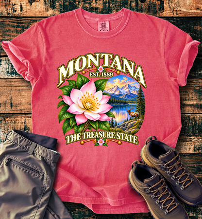 Montana - The Treasure State T-Shirt