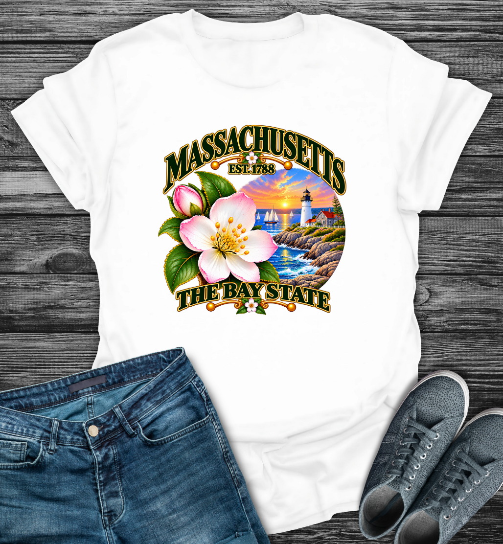 Massachusetts - The Bay State Softstyle T-Shirt