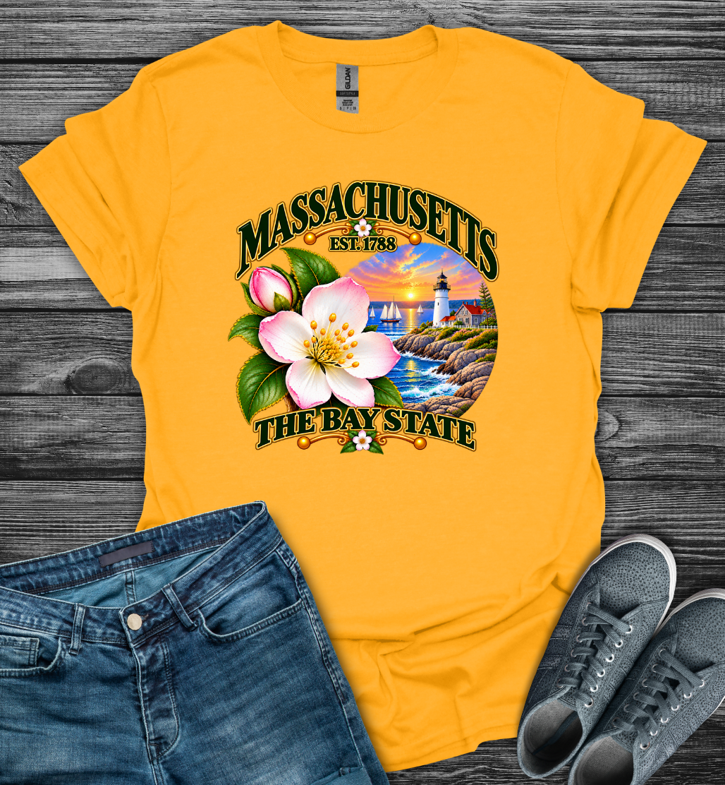 Massachusetts - The Bay State Softstyle T-Shirt